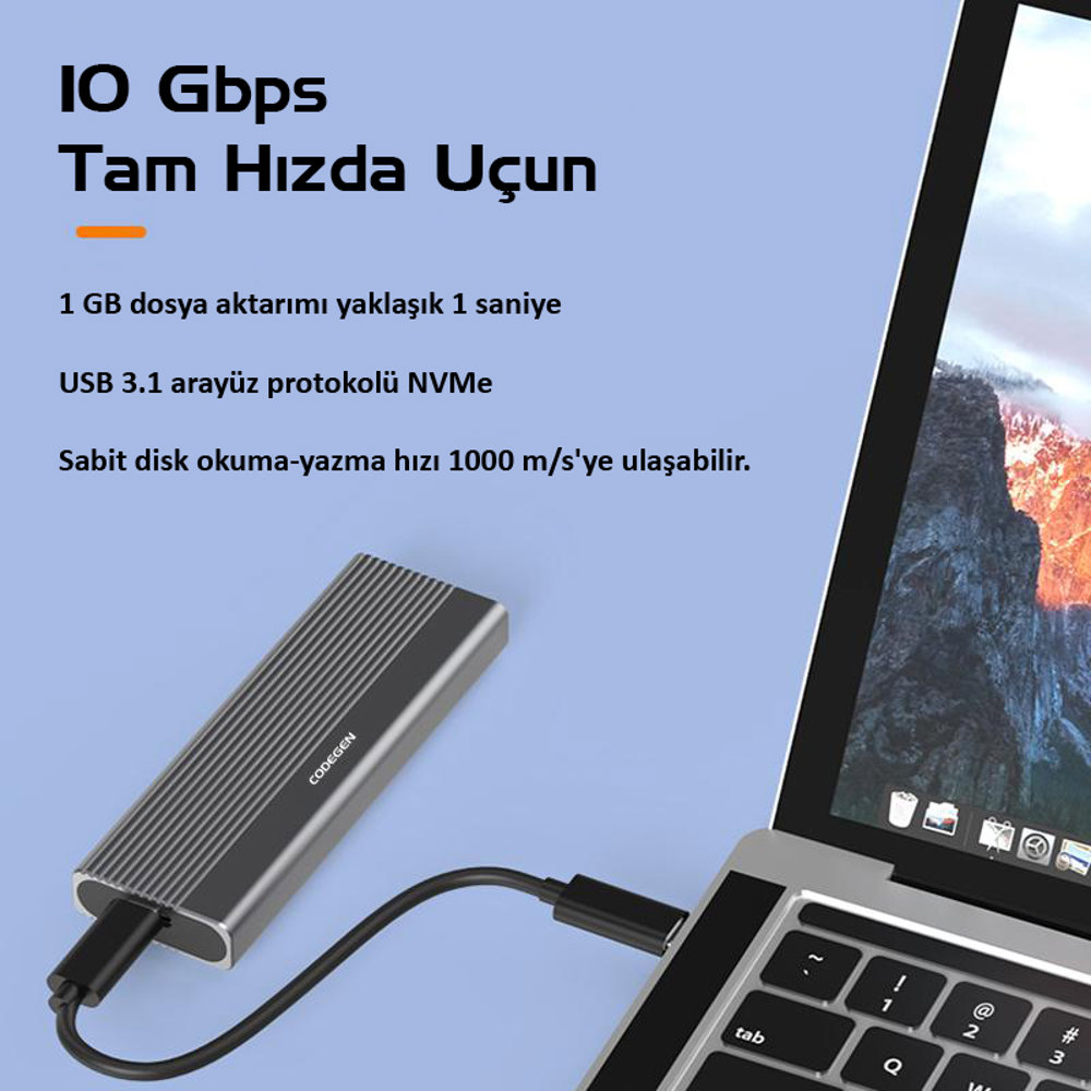 Codegen Type-C Usb 3.1 Nvme/M2 Ssd Alüminyum Disk Kutusu CDG-SSD-40BC