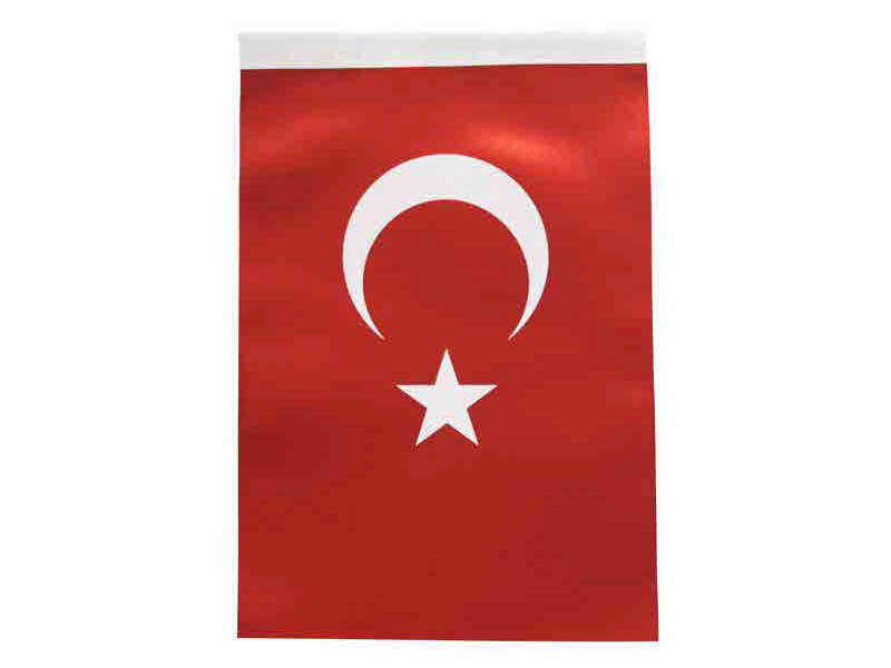 İNTER B-030 TÜRK BAYRAĞI 300X450