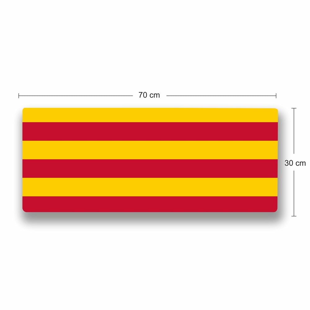 Kruxon ZR1012 GALATASARAY MOUSE PAD 70X30
