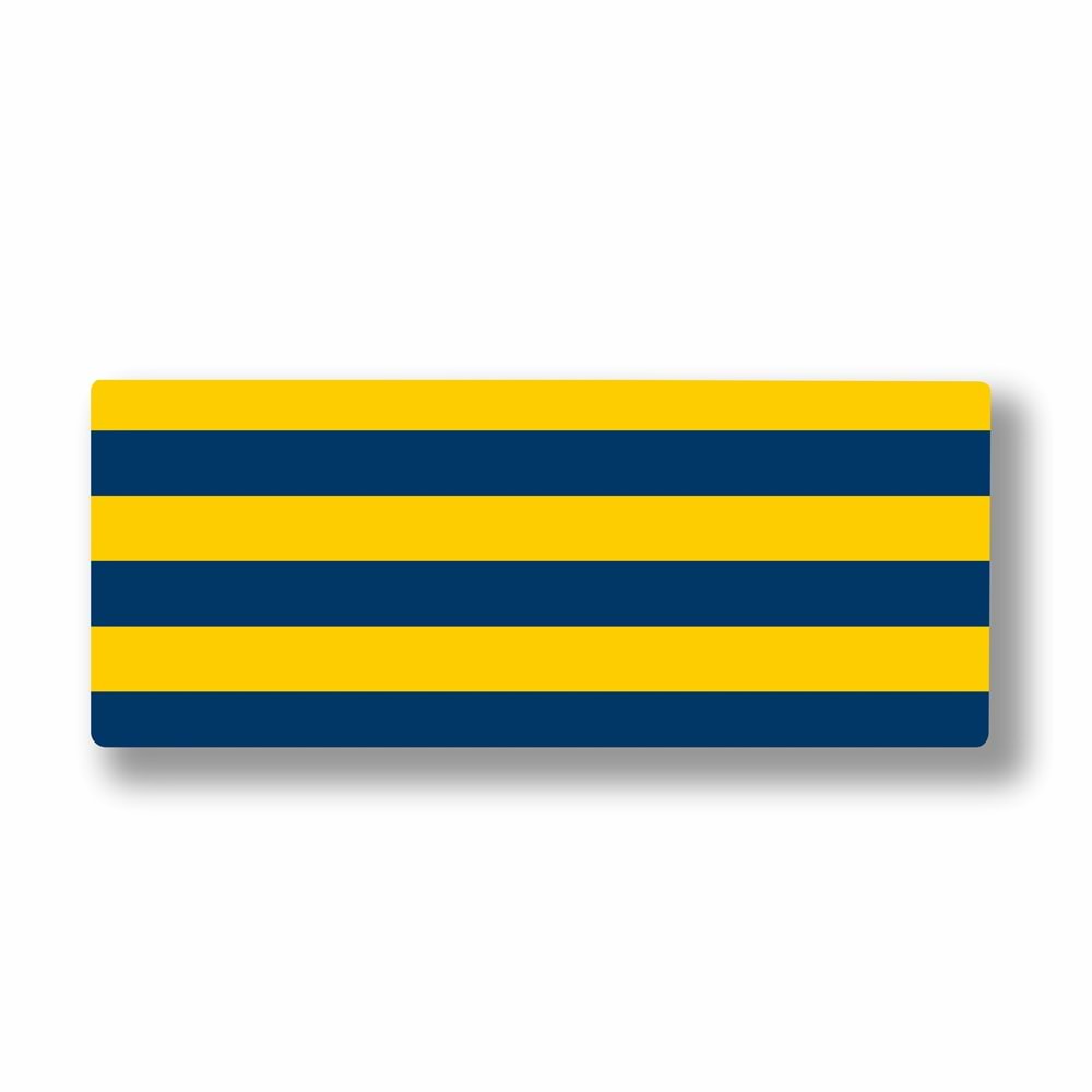 Kruxon ZR1016 FENERBAHÇE MOUSE PAD 90X40