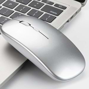 Kruxon ZR216 GÜMÜŞ BLUETOOTH MOUSE