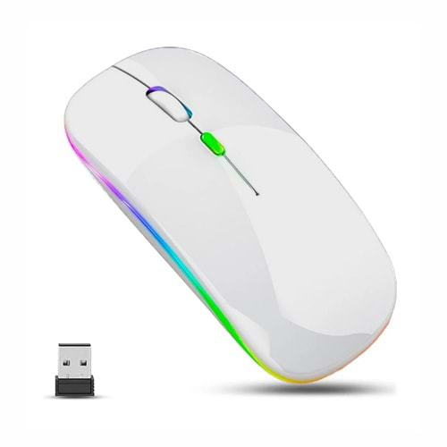 G303 RGB GAMİNG MOUSE