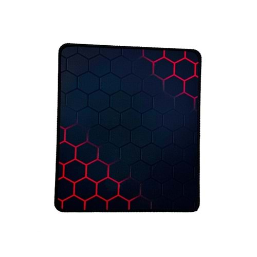 ONEZDERO ZR1112 70X30 GEZEGEN MOUSE PAD