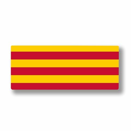 Kruxon ZR266 RGB DÜNYA MOUSE PAD 80X30