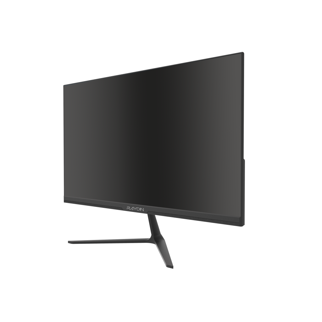 RAYDIN ALISA, 24", 2ms, 75Hz, Full HD, D-Sub, HDMI, Frameless, VA LED Monitör (Siyah)