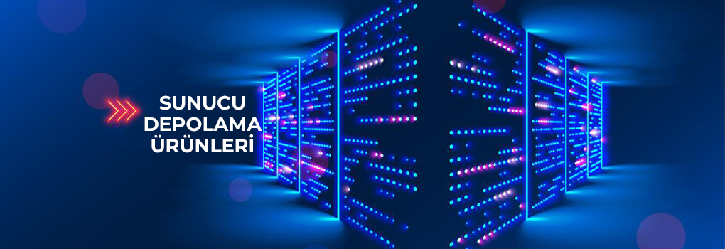 Sunucu Depolama Ürünleri